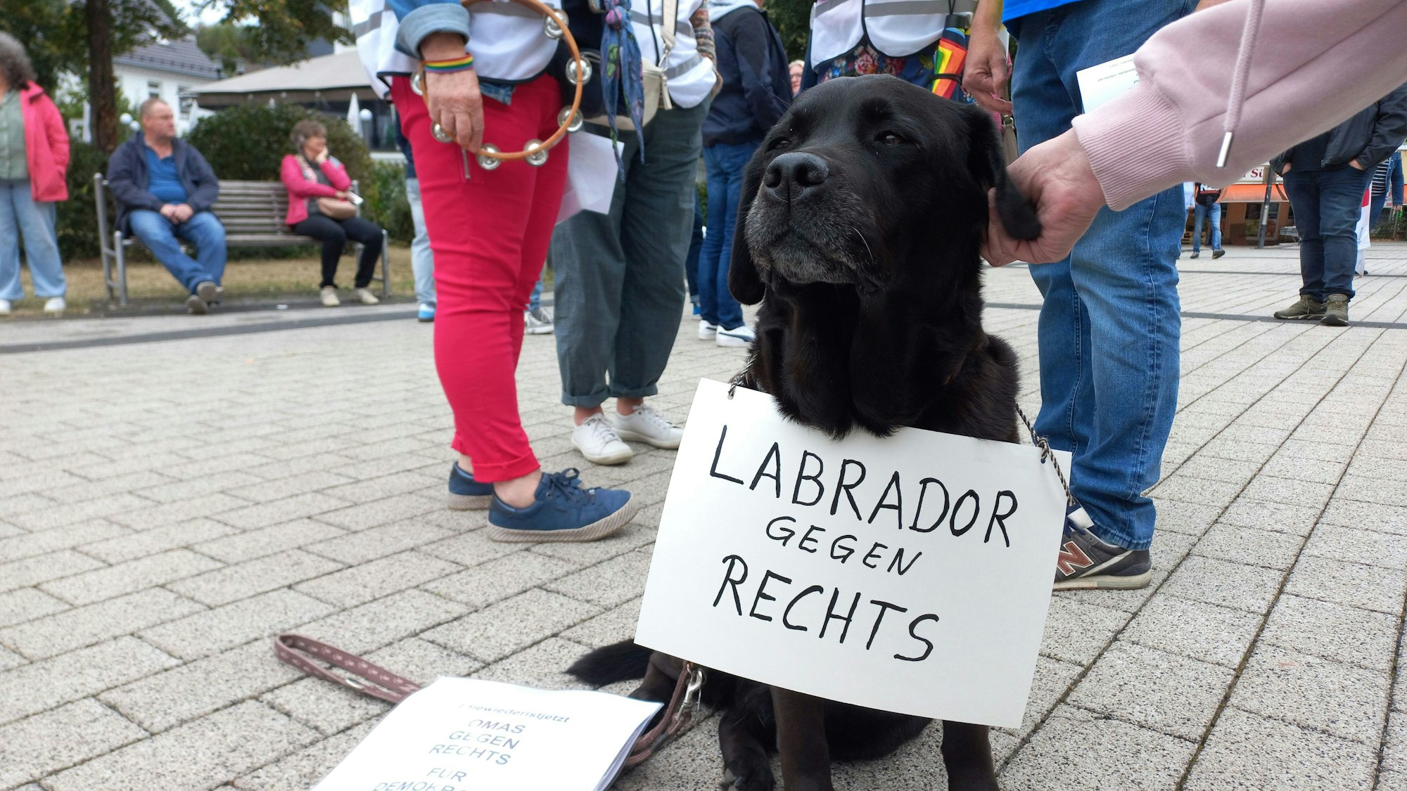 Bild eines schwarzen Hundes, der ein Schild um den Hals trägt. Auf diesem steht: Labrador gegen Rechts.