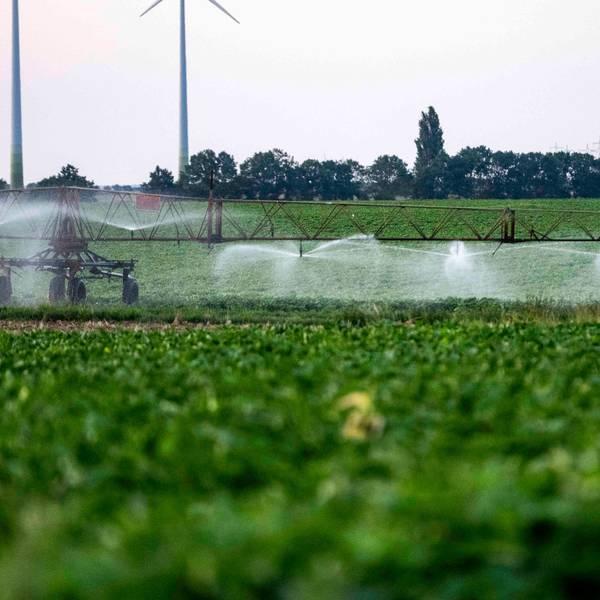 Das Bild zeigt ein Feld bei Euskirchen, das mithilfe einer Gerätschaft bewässert wird.