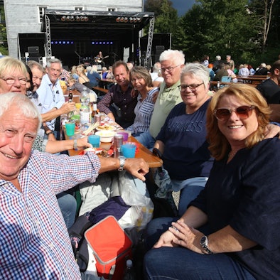 Blick auf die Besucher der „Parkzeit“, einer Veranstaltung mit Picknick und Livemusik