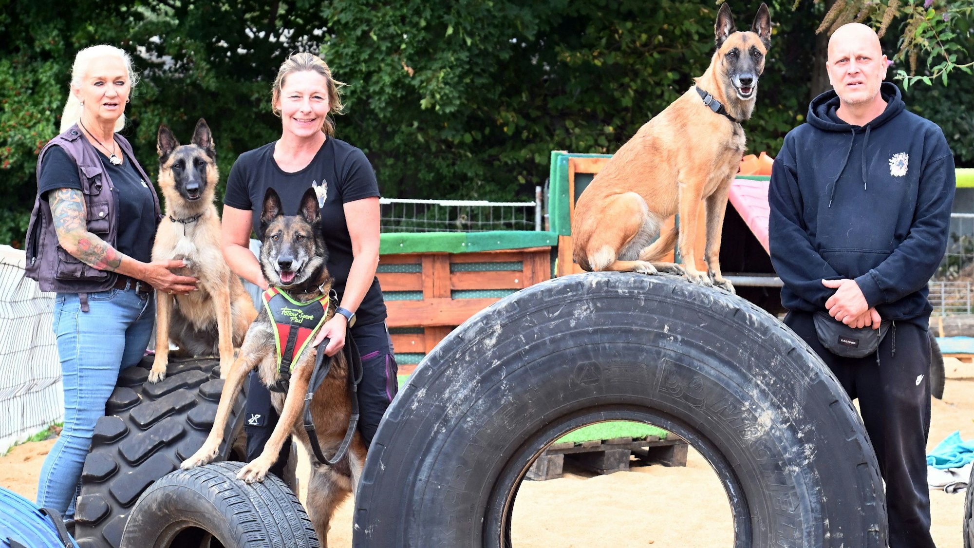 Drei Schäferhunde sitzen auf aufgestellten Reifen, daneben stehen ihre Halterinnen und Halter.