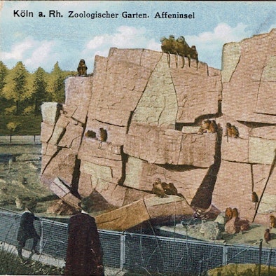 1914 zogen etwa 150 Mantelpaviane auf der Affeninsel ein.
