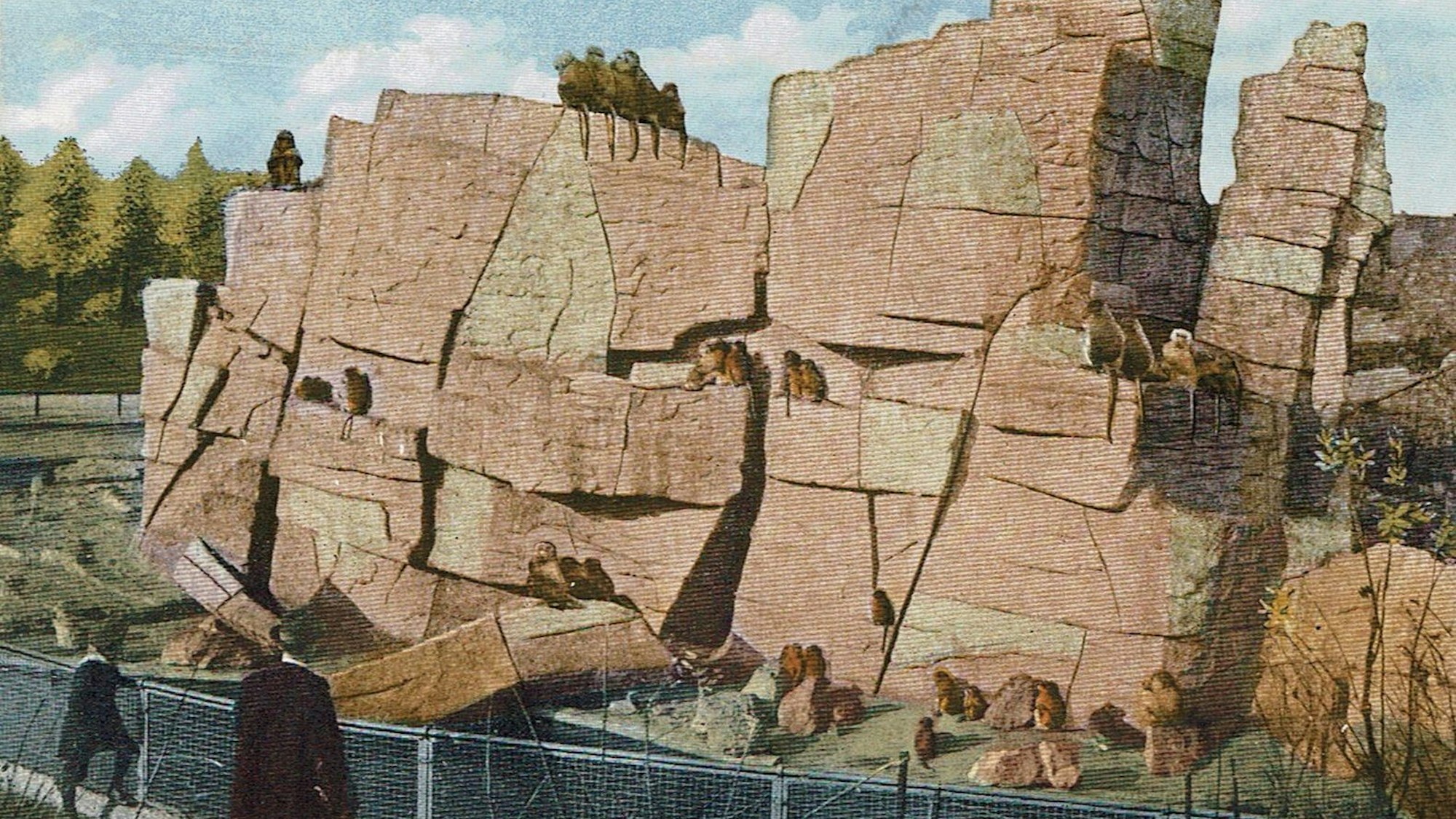 1914 zogen etwa 150 Mantelpaviane auf der Affeninsel ein.