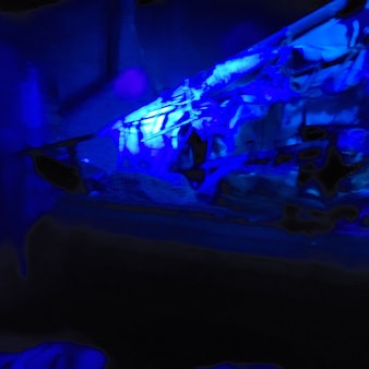 Eine Szene aus der Geister Rikscha im Phantasialand.