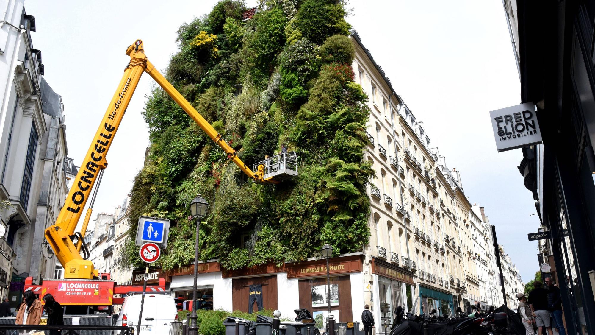 Eine grüne Hauswand in Paris mit 237 Pflanzenarten