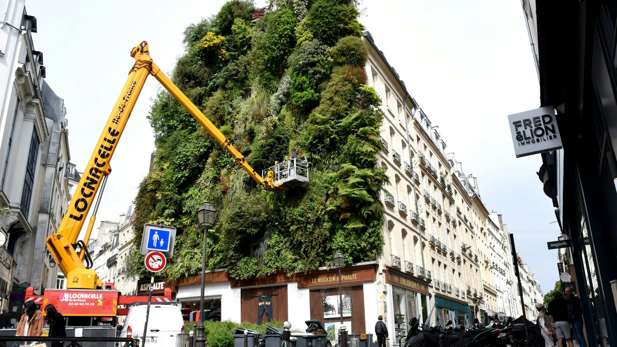 Eine grüne Hauswand in Paris mit 237 Pflanzenarten
