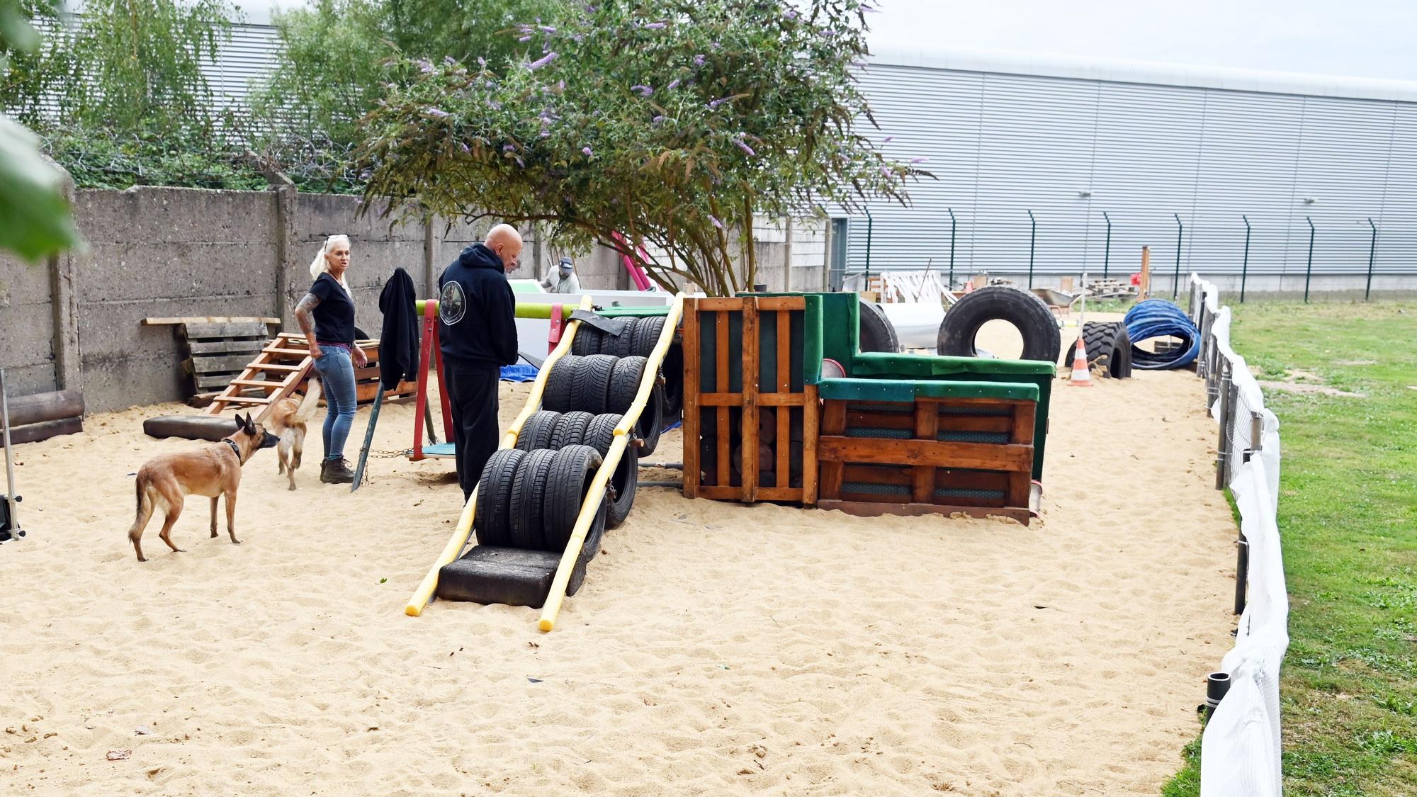 Auf einer Sandfläche mit einem Trainingsparcours stehen zwei Schäferhunde und zwei Menschen.