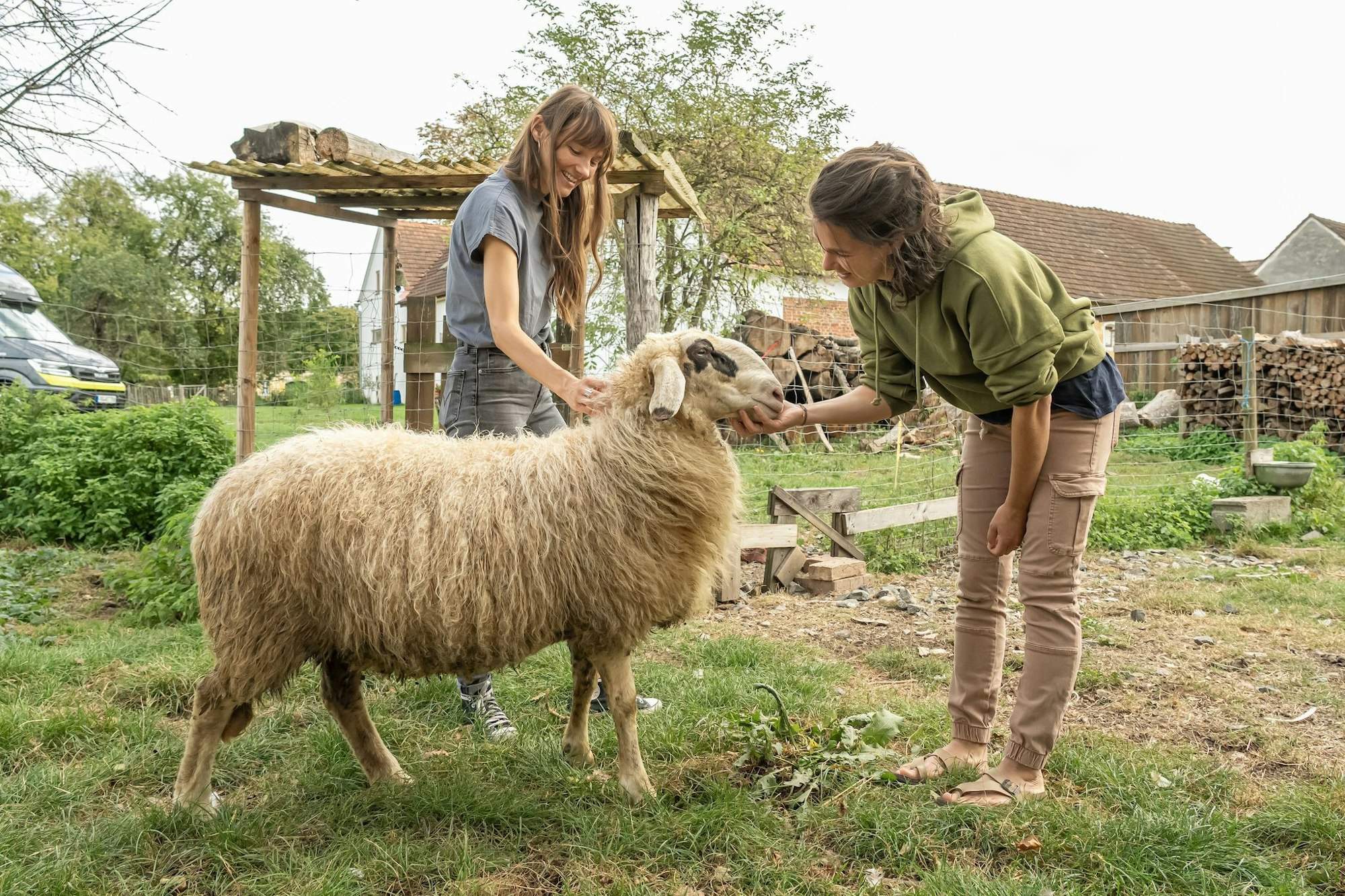 Abenteuer für die Großen und die Kleinen - etwa hier auf dem Biohof Freudenberg: Kinder freuen sich auf den Höfen besonders über die vielen verschiedenen Tiere.