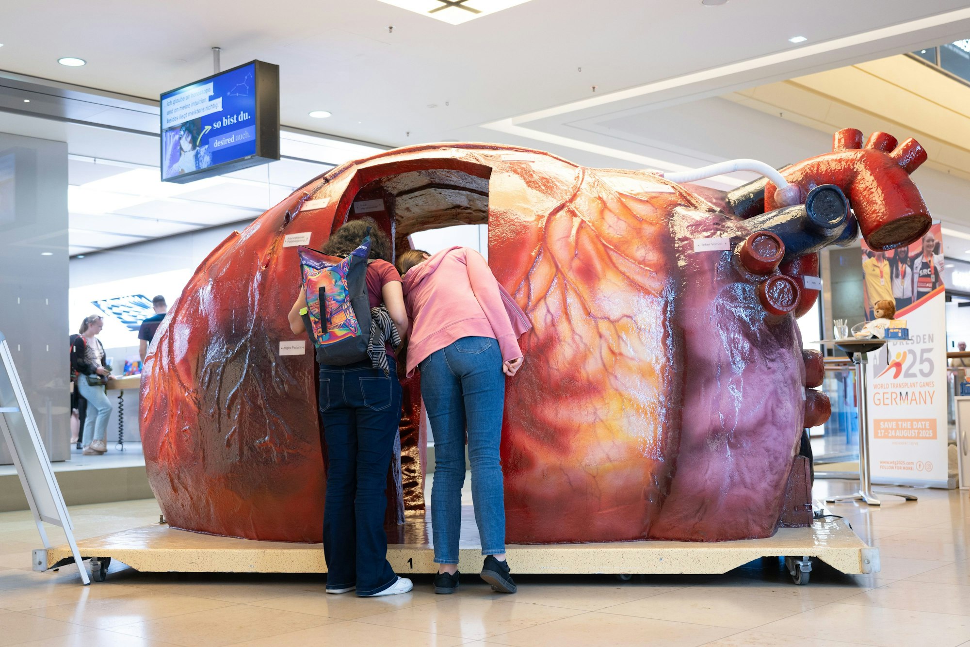 Passanten begutachten ein begehbares Herzmodell des Bundesinstituts für öffentliche Gesundheit.