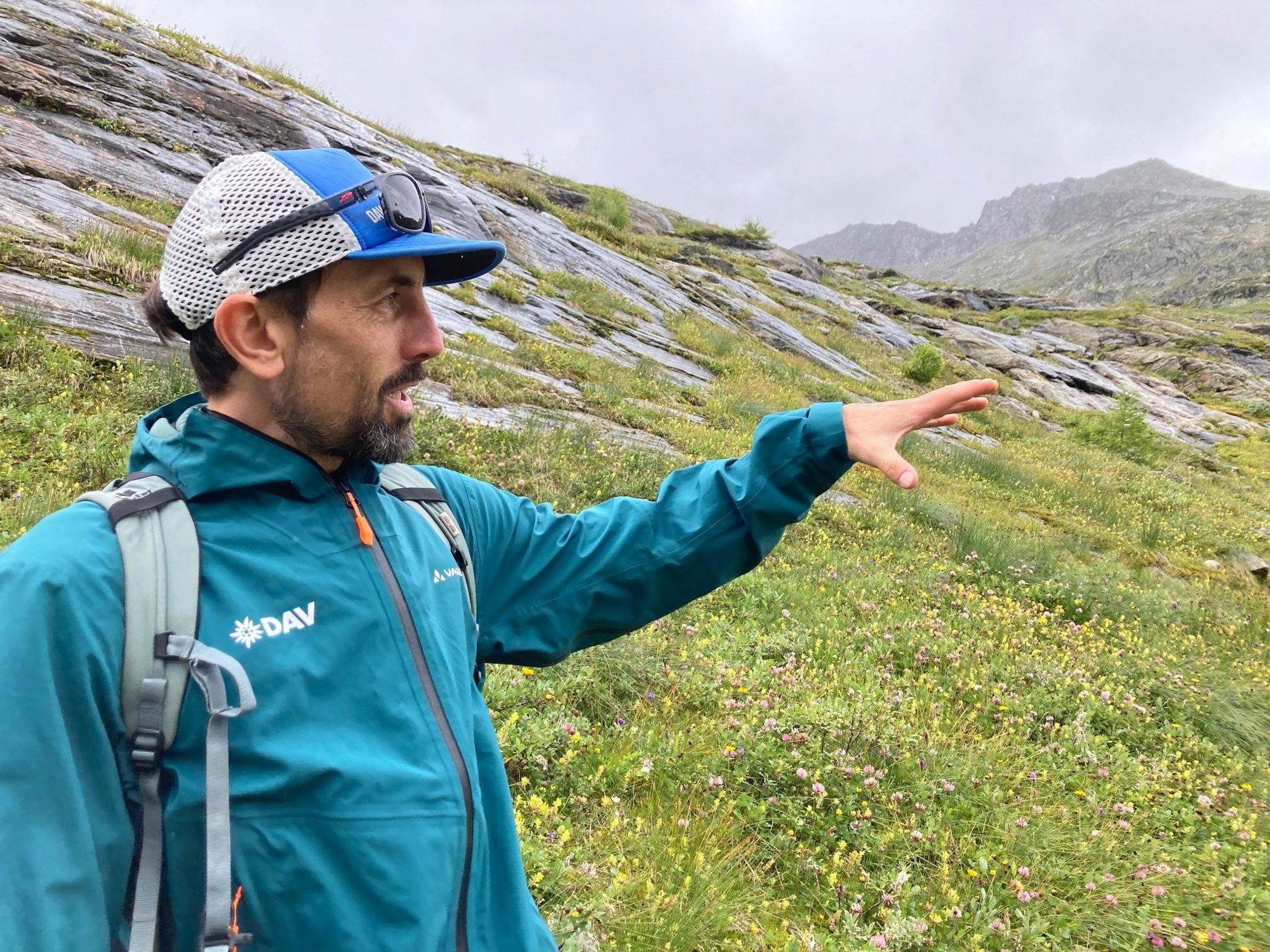 Der DAV-Geowissenschaftler Tobias Hipp zeigt auf die Vegetation - hier war früher Gletscher.