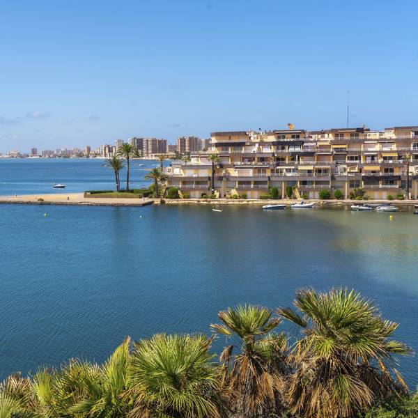 Das Stadtbild von La Manga im Sommer, mit dem ruhigen blauen Meer, den sich wiegenden Palmen und dem malerischen Blick auf die Küste.
