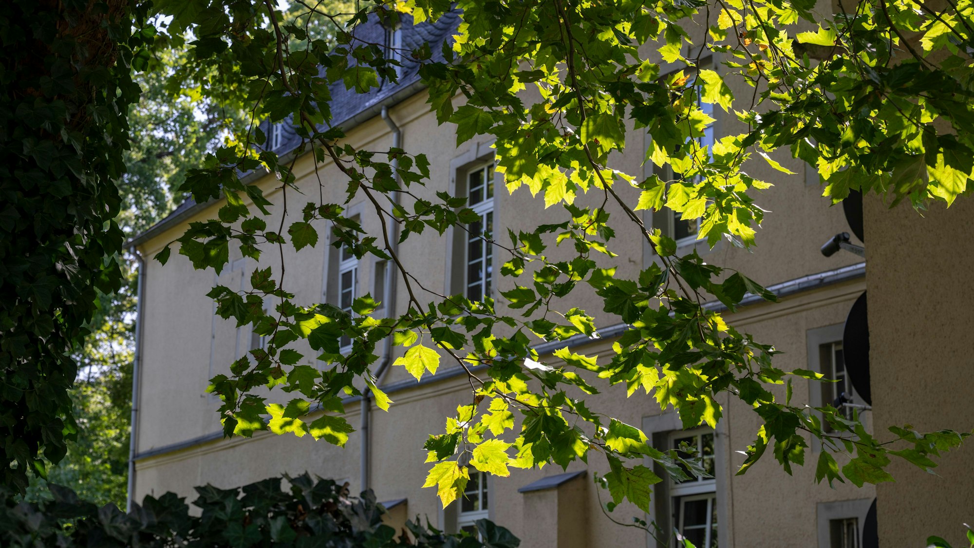 12.08.2025, Köln: Die Herler Burg ist 1000 Jahre alt. Besuch im ältesten rechtsrheinischen Gebäude Kölns.