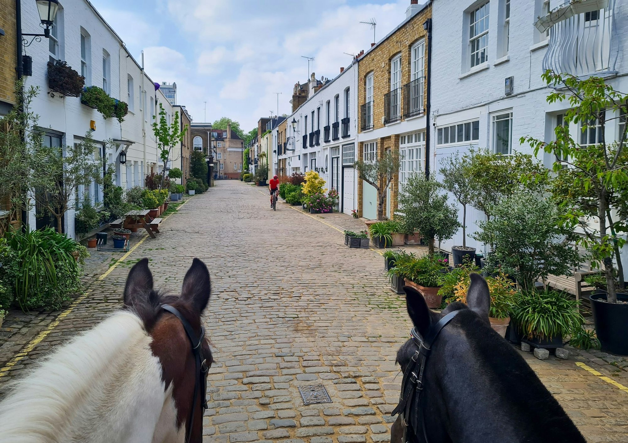 Die Hyde Park Gardens Mews: früher das Zuhause der Pferde und Bediensteten - heute gefragte Immobilien.