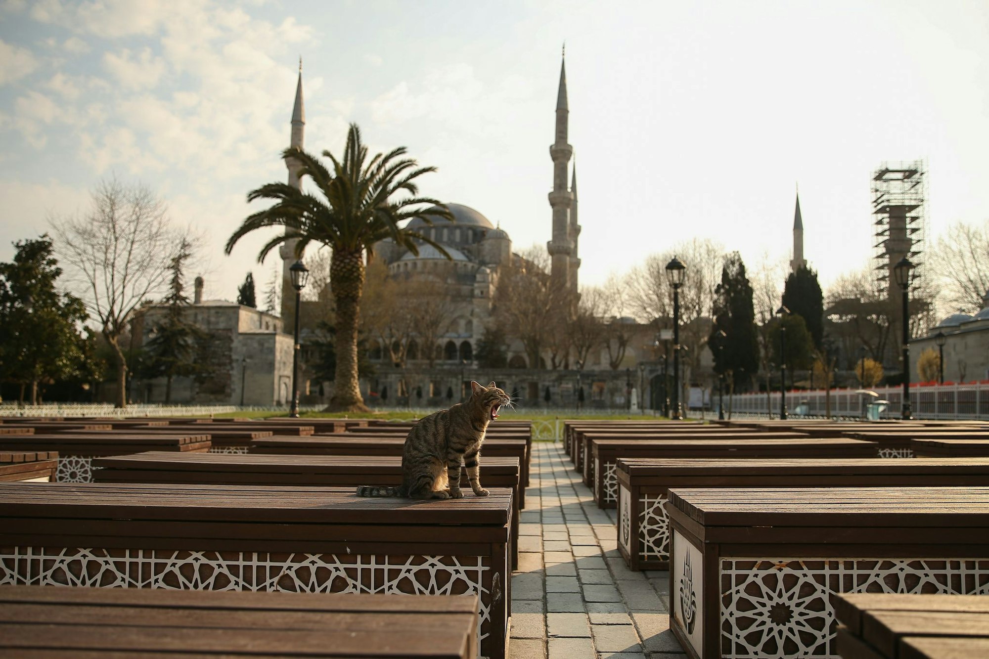 Das Kopftuch ist in der Türkei weiter umstritten, auch abseits von Gebetsstätten wie etwa die Blaue Moschee in Istanbul. (Archivbild)
