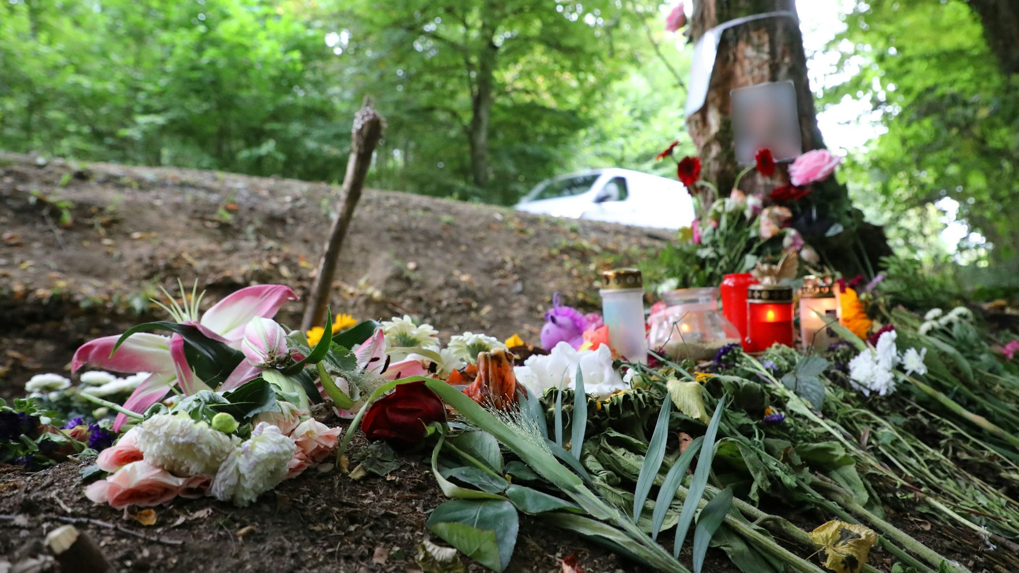 Blumen und Kerzen stehen an einem Baum in einer Kurve der Dürschtalstraße, in der am 16. August 2025 vier Teenager bei einem Unfall ums Leben kamen.