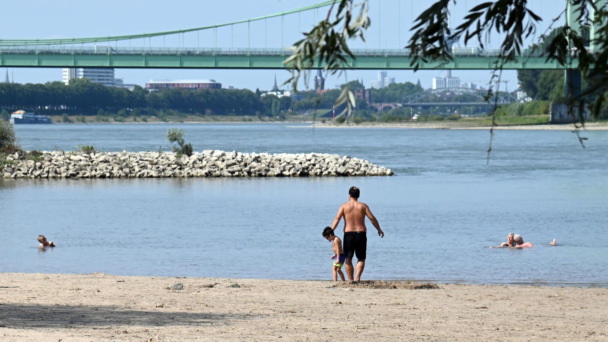 An der Rodenkirchener Riviera liegen vorigen Sommer Menschen im Rhein. Damals galt das Badeverbot noch nicht.