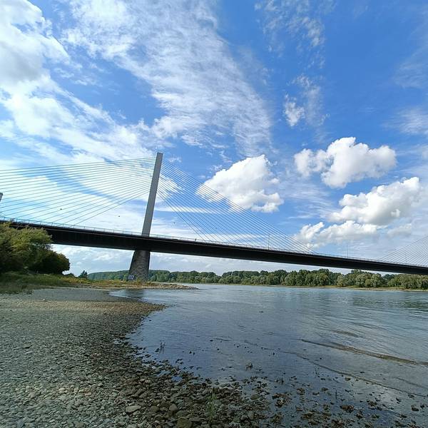 Ab Anfang Februar will die Autobahn GmbH des Bundes die Bonner Nordbrücke für Fahrzeuge sperren, die schwerer als 7,5 Tonnen sind. Das gilt dann auch für Linienbusse.