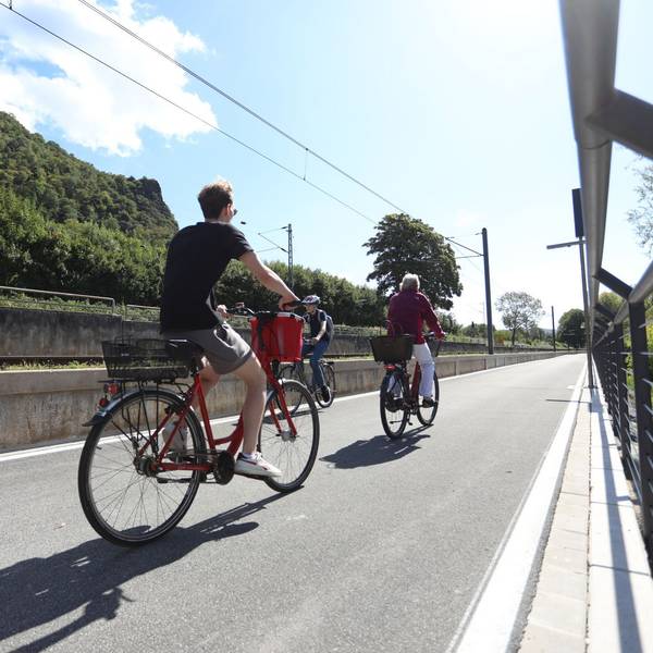 Drei Radfahrer auf einem gut ausgebauten Radweg, im Hintergrund der Drachenfels.