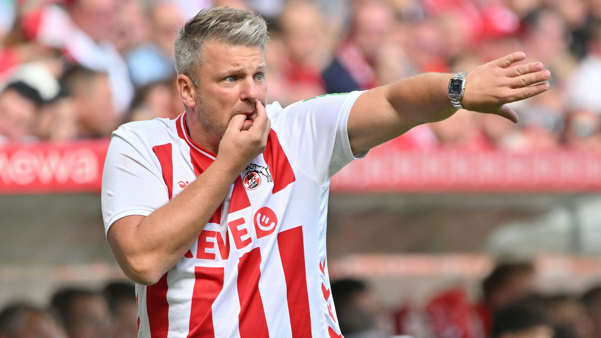 Lukasz Kwasniok an der Seitenlinie beim Bundesliga-Auftakt gegen Mainz 05