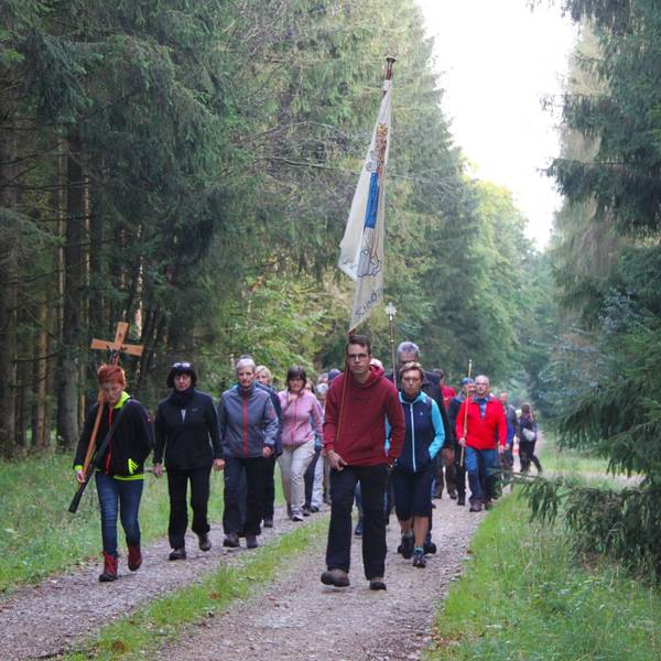 Etwa 20 Personen, die durch einen Wald gehen, sind auf dem Bild zu sehen. Eine Person trägt ein Kreuz, eine andere eine Fahne.