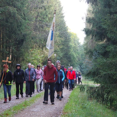 Etwa 20 Personen, die durch einen Wald gehen, sind auf dem Bild zu sehen. Eine Person trägt ein Kreuz, eine andere eine Fahne.