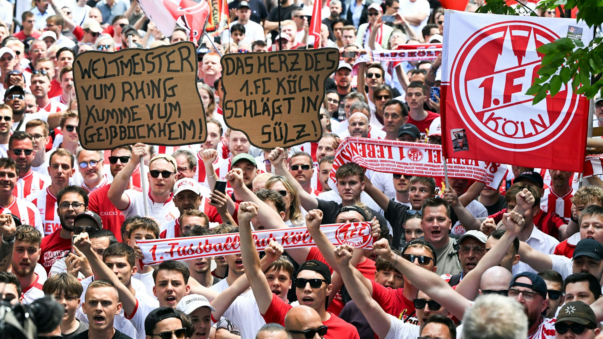 Fans von FC Köln singen vor dem Rathaus und halten Schilder unter anderem mit der Aufschrift «Weltmeister vum Rhing kumme vum Geißbockheim!» und «Das Herz des 1. FC Köln schlägt in Sülz». Mehrere Hundert FC-Fans demonstrieren für die Pläne des 1. FC Köln zur Erweiterung des Geißbockheims. Foto: Federico Gambarini/dpa