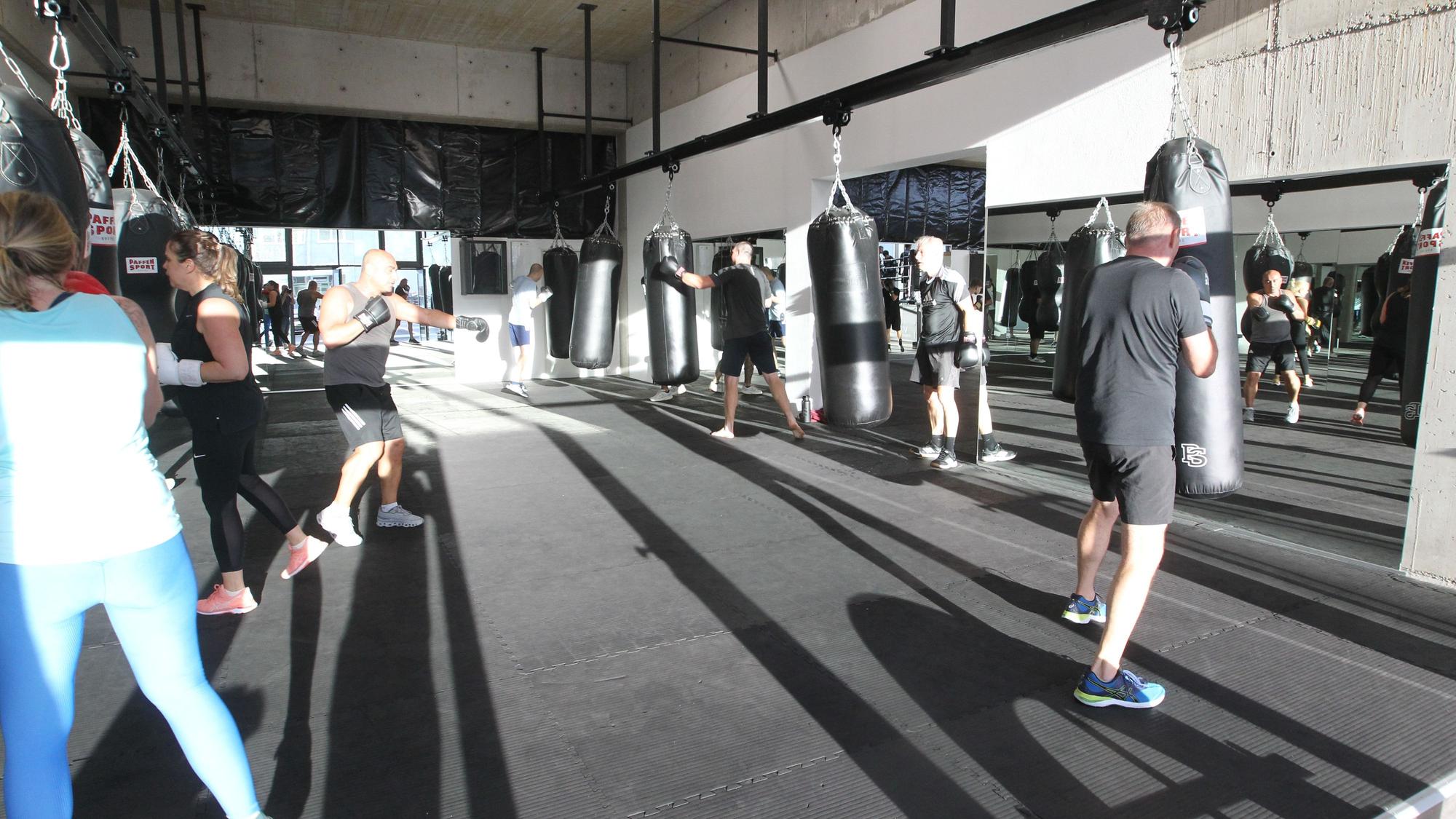 Beliebt sind die Einheiten der Hobby-Boxer.