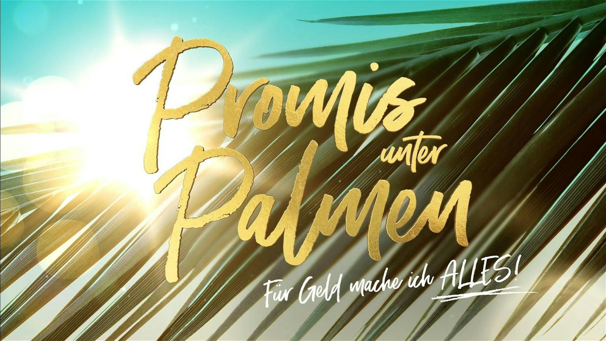 Die Dreharbeiten für „Promis unter Palmen“ laufen bereits - und auch die Kandidaten wurden jetzt bekannt gegeben. (Bild: SAT.1)