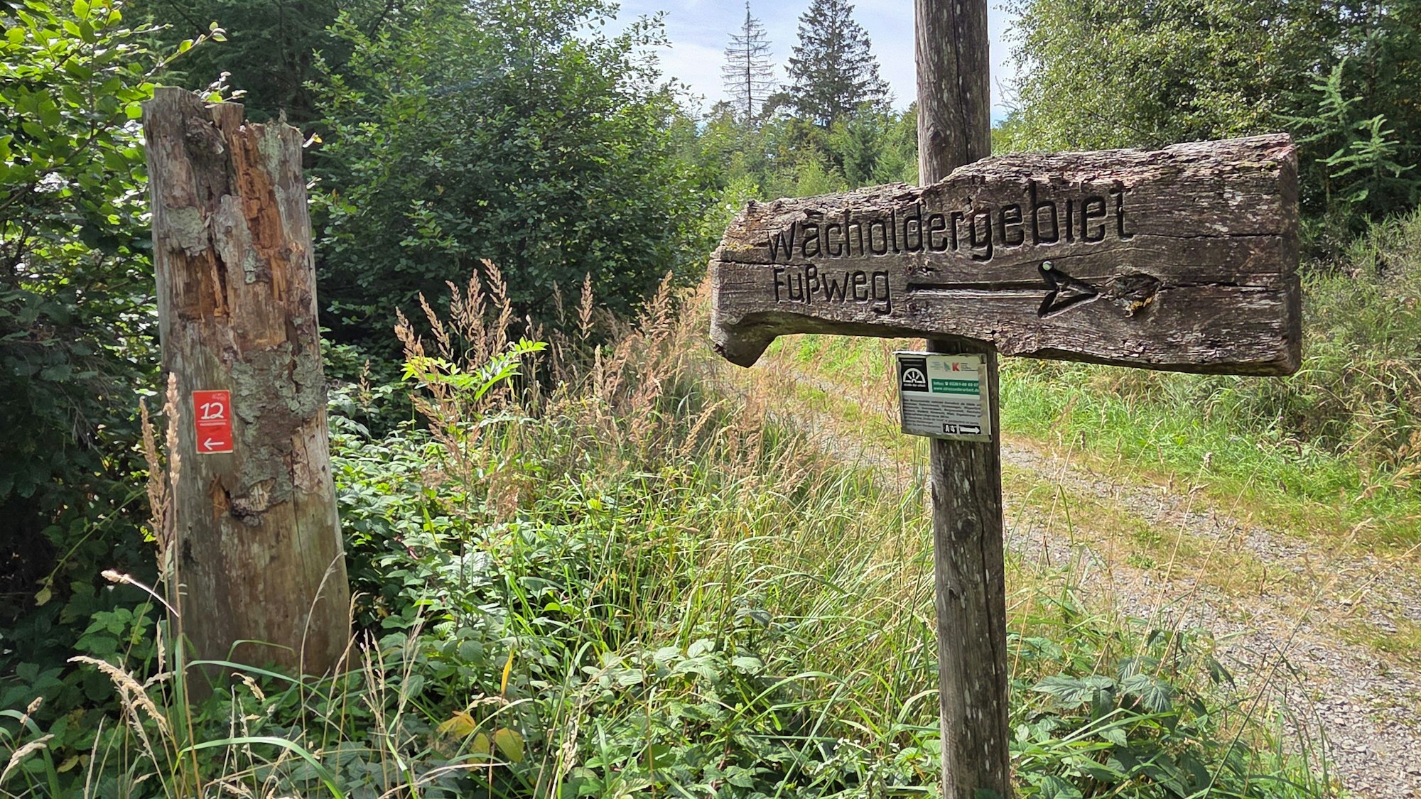 Die Wacholderheide bei Reichshof-Branscheid ist eine der vielen natürlichen Attraktionen am Rand des Bergischen Panoramasteigs.