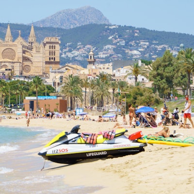 Am Strand Platja de Can Pere Antoni auf Mallorca wurde ein toter Hai mit massiver Wunde angespült. (Archivbild)