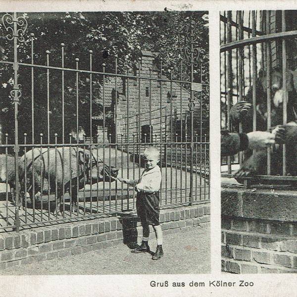 Nach dem Ersten Weltkrieg brechen auch für den Kölner Zoo schlechte Zeiten an. Postkarte von 1929.