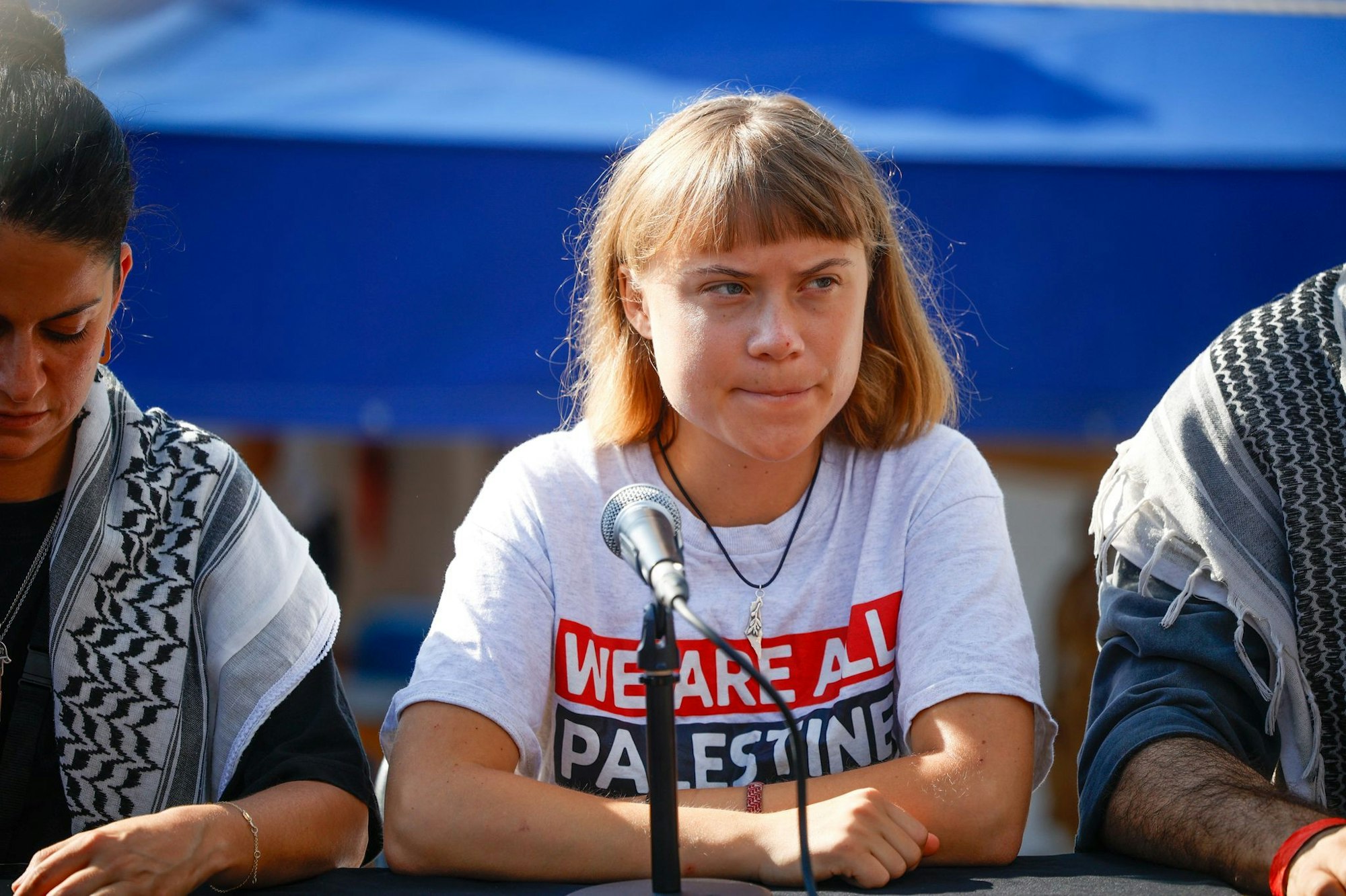 Greta Thunberg hat bereits an einem gescheiterten Versuch teilgenommen.