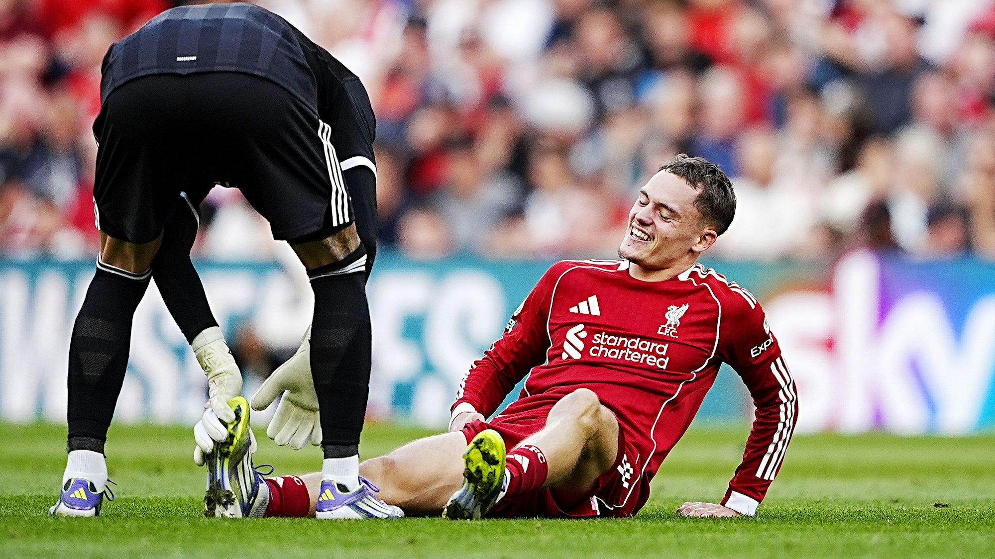 Arsenals Torhüter David Raya hilft Liverpools Florian Wirtz bei Krämpfen während des Premier-League-Spiels in Anfield.