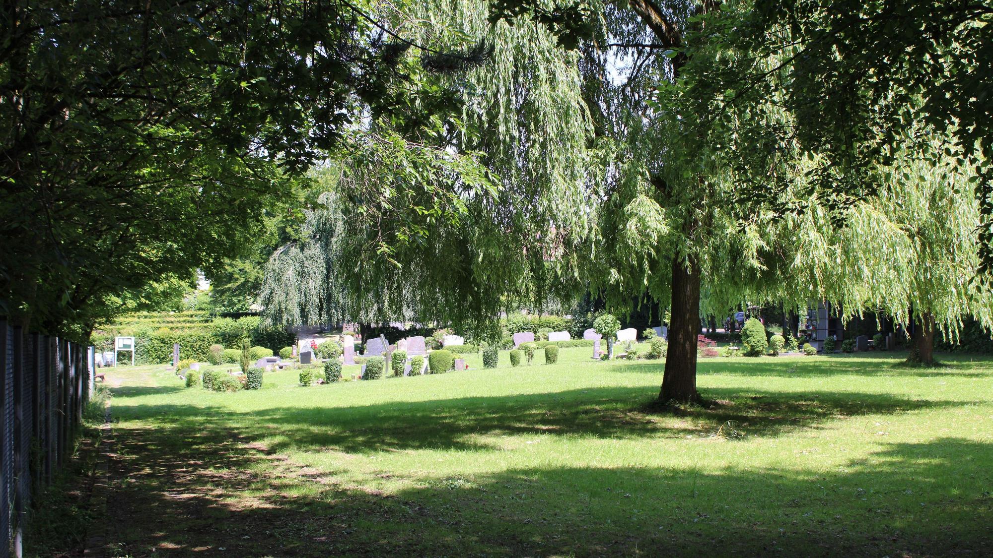 Auf der ehemaligen Friedhofserweiterungsfläche in Lohmar-Birk soll sozialer Wohnraum entstehen.