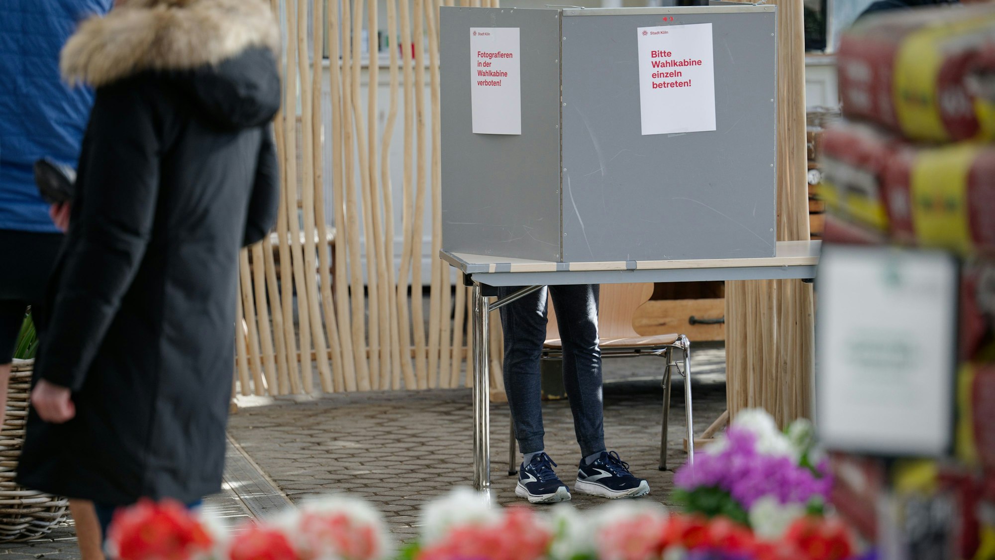 23.02.2025, Nordrhein-Westfalen, Köln: Eine Frau steht in einem Wahllokal in einem Gewächshaus eines Gartenbaubetriebs in Köln-Hahnwald hinter einer Wahlkabine. Am Sonntag findet die vorgezogene Wahl zum 21. Deutschen Bundestag statt. (zu dpa: «NRW wählt den Bundestag - höhere Wahlbeteiligung in Köln») Foto: Henning Kaiser/dpa +++ dpa-Bildfunk +++
