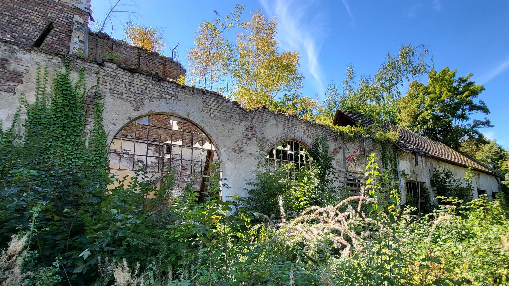 Die spektakuläre Festhalle von der Waldburg lässt sich nur noch erahnen.