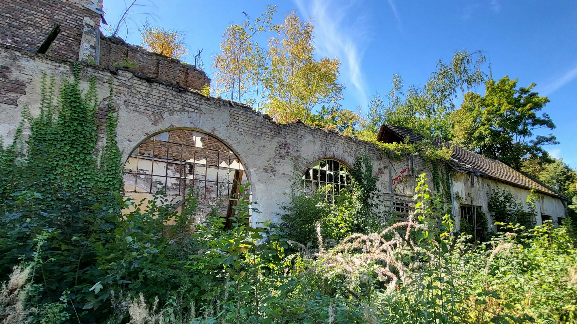 Die spektakuläre Festhalle von der Waldburg lässt sich nur noch erahnen.