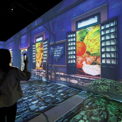 Silhouette einer Person, die in der Viva-Frida-Kahlo-Ausstellung steht.