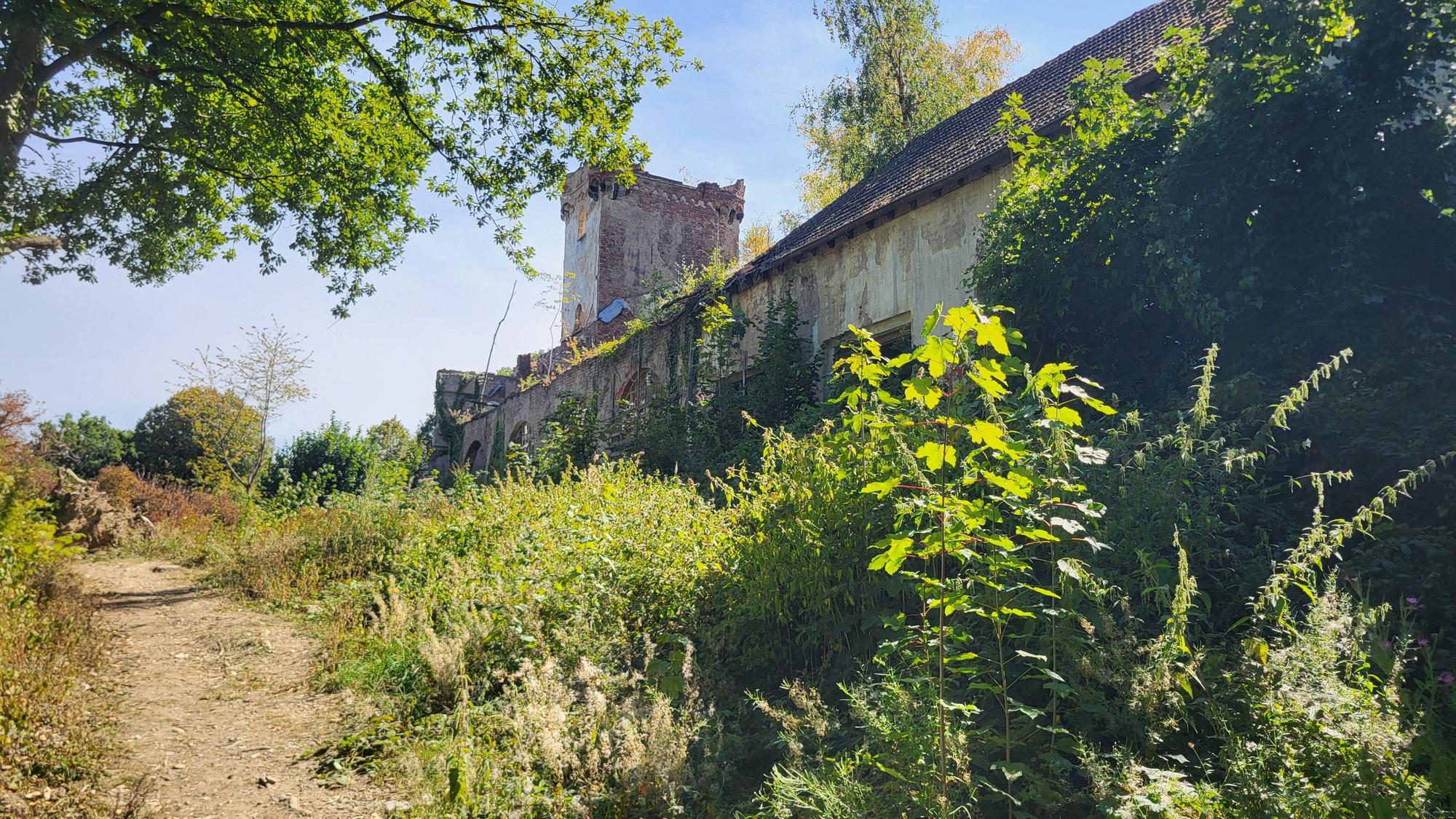 Ein ausgetretener Weg führt an dem heutigen „Lost Place“ Waldburg Remagen vorbei.