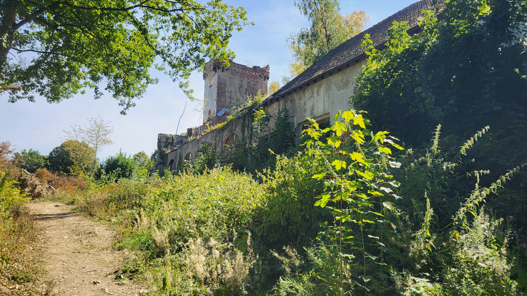 Ein ausgetretener Weg führt an dem heutigen „Lost Place“ Waldburg Remagen vorbei.