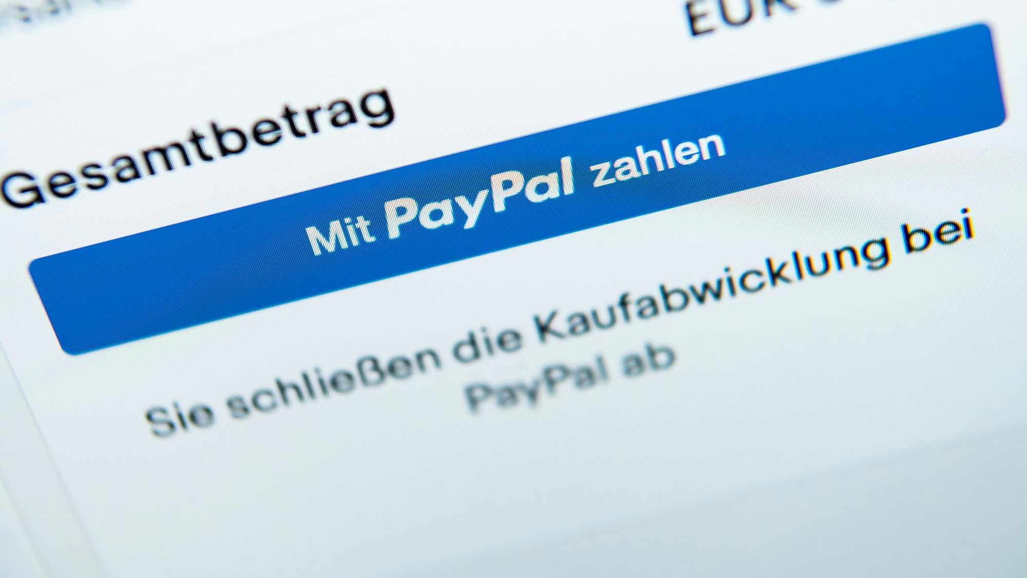 Der Schriftzug «Mit Paypal zahlen» ist auf dem Bildschirm eines Laptops zu sehen.