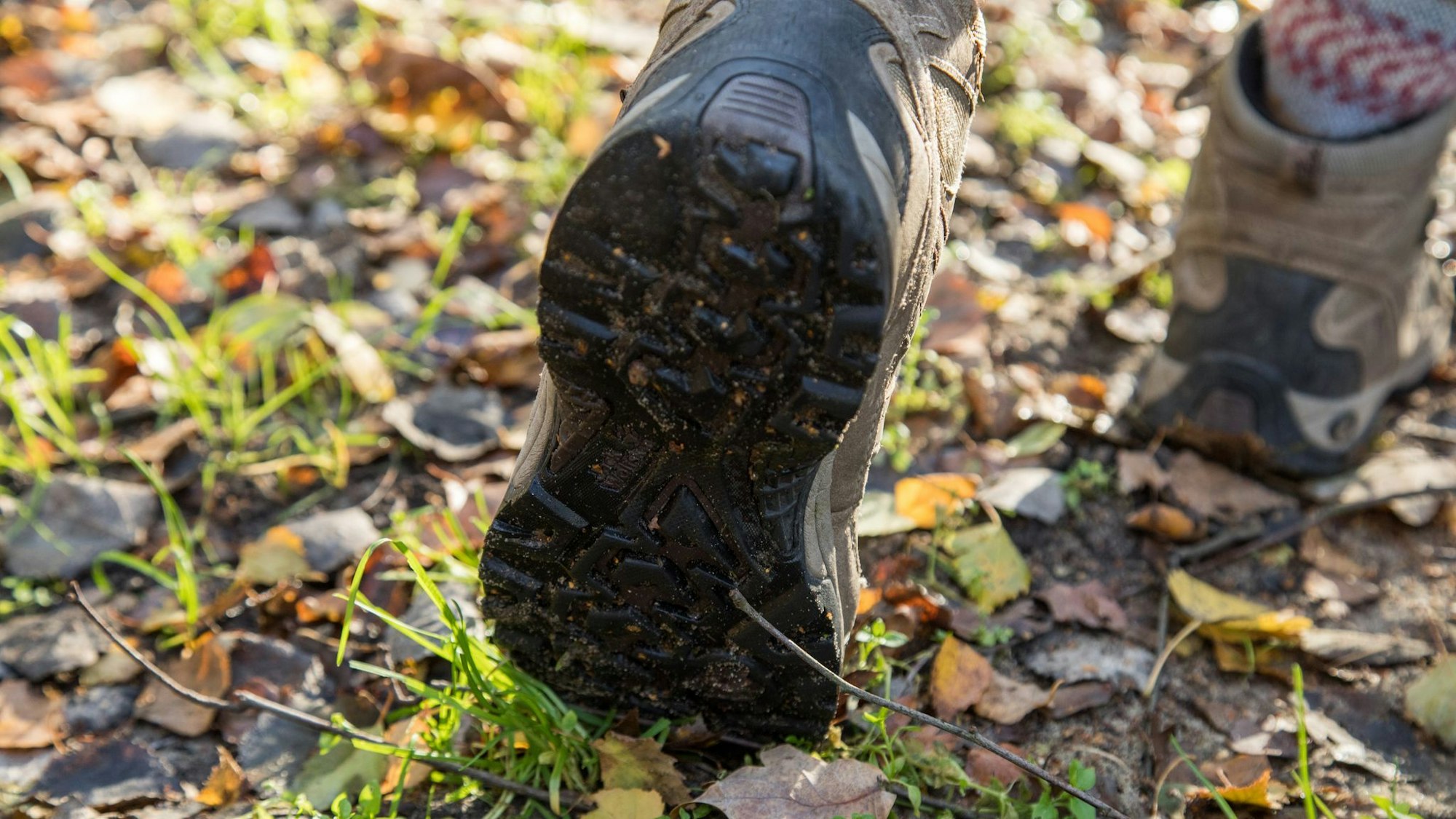Ein Wanderschuh auf herbstlichem Boden, man sieht die Sohle vom Schuh, die mit Erde bedreckt ist.