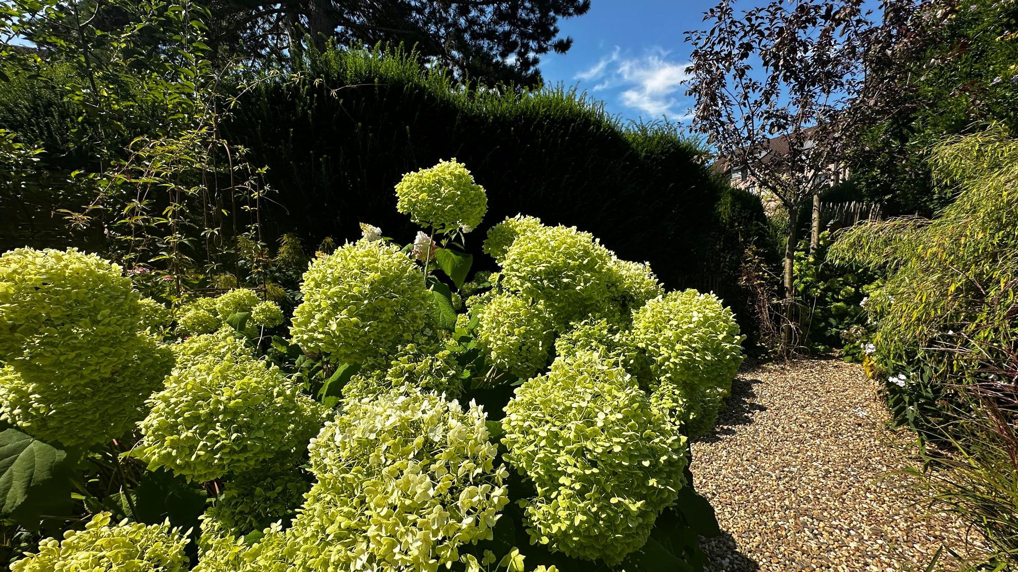 Kieswege statt Schotter im Garten von Gartengestalterin Margit Müller-Vorländer.