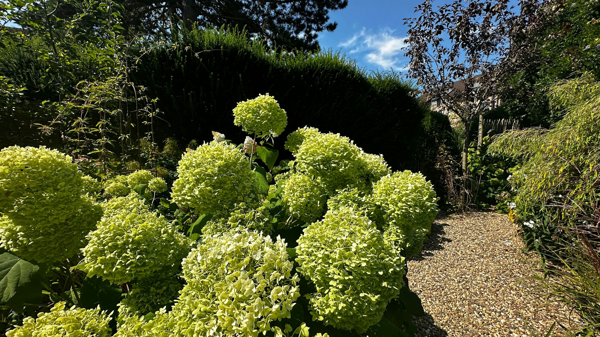 Kieswege statt Schotter im Garten von Gartengestalterin Margit Müller-Vorländer.
