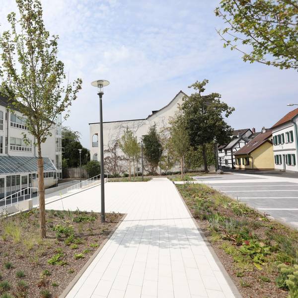 Beete und Bäume auf einem Platz mit einem hellen Gehweg, am Rande mehrere Parkplätze.