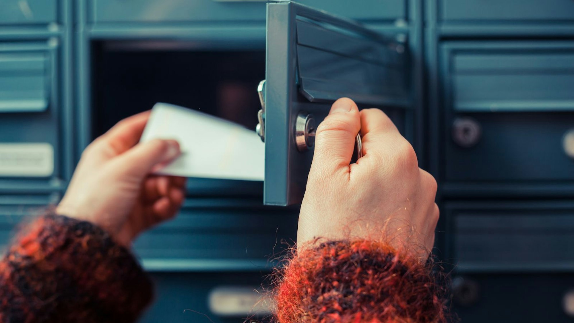 Wer ein unbestelltes Saatguttütchen aus China in seinem Briefkasten entdeckt, sollte den Inhalt direkt im Hausmüll entsorgen. (Bild: iStock/lolostock)