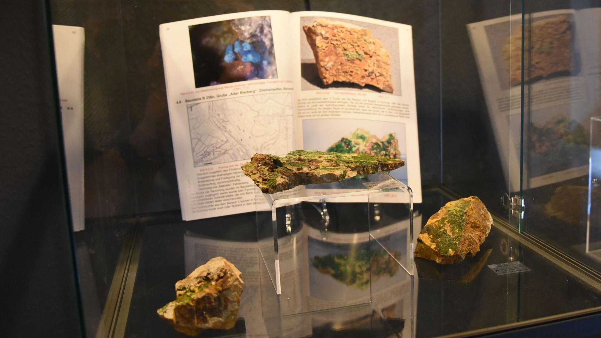 Mineralien mit Hintergrundinfos in einer der Vitrinen.