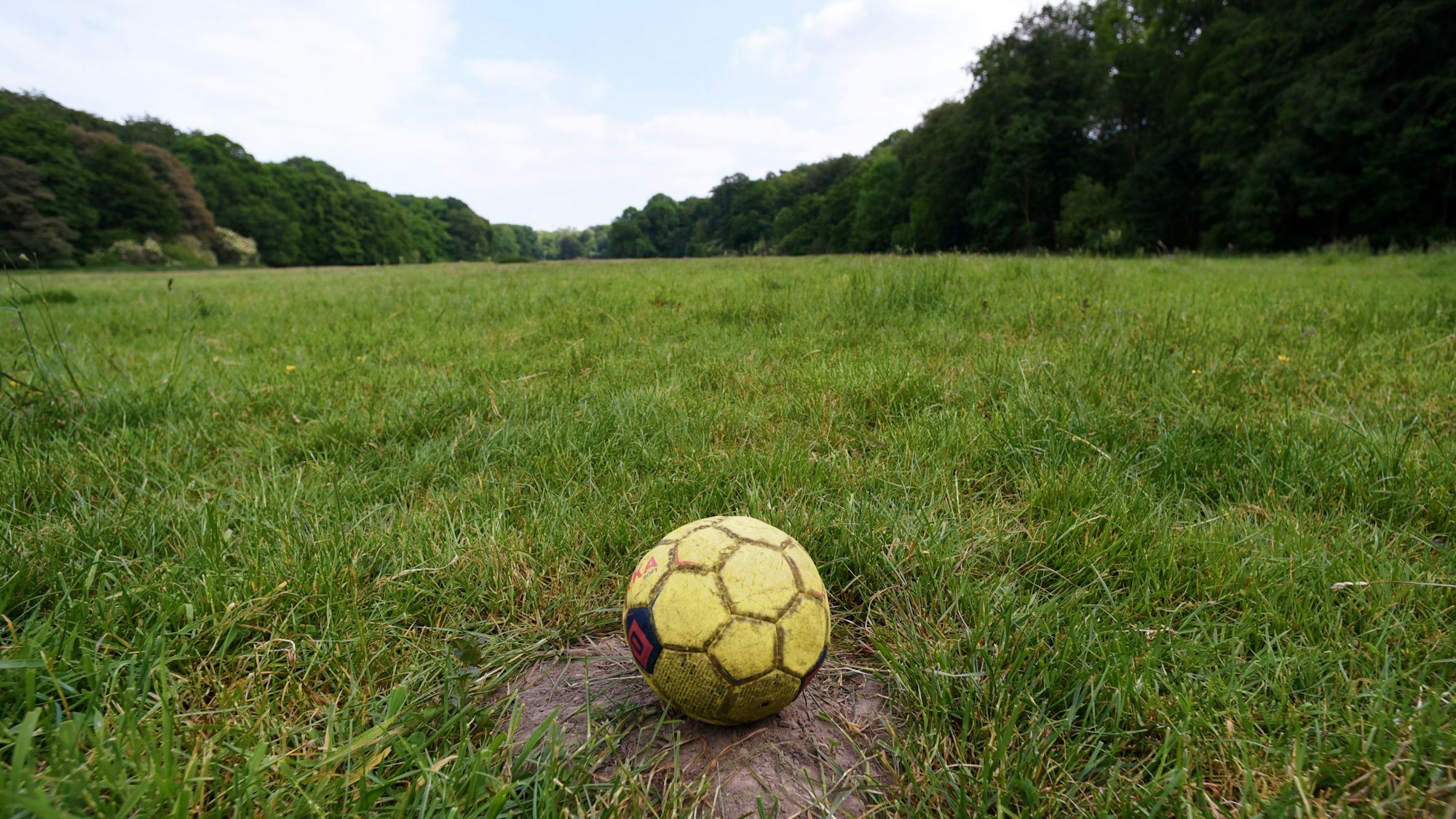 Blick auf die Gleueler Wiese mit Bäumen im Hinter- und einem gelben Fußball im Vordergrund.