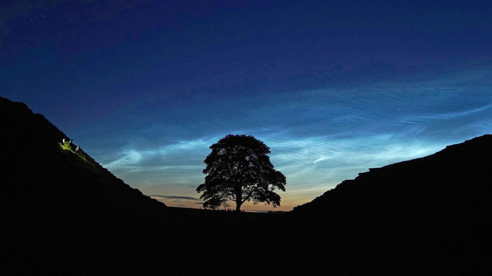 Der Sycamore Gap Tree in England war einst ein beliebtes Fotomotiv. (Archivfoto)