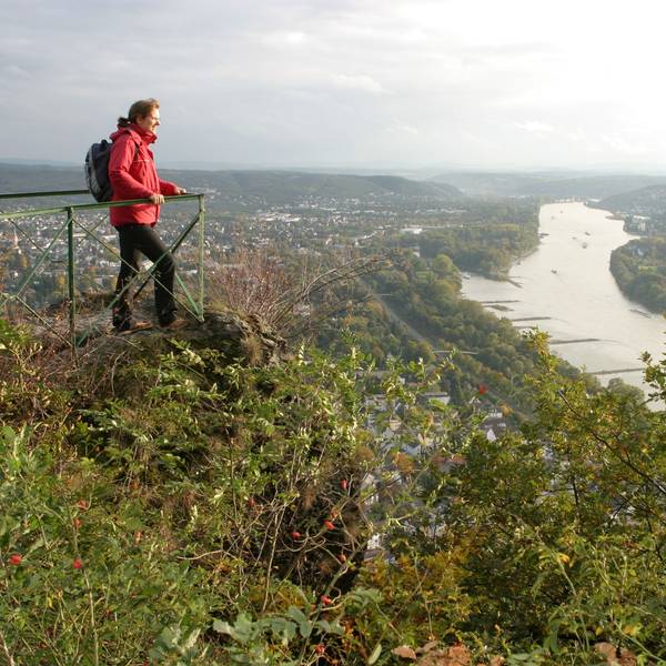 Zu sehen ist eine Frau an einem Geländer auf einem Berg. Sie blickt hinab auf den Rhein.
