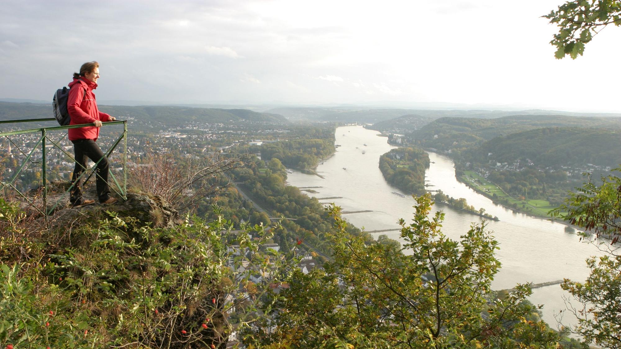 Zu sehen ist eine Frau an einem Geländer auf einem Berg. Sie blickt hinab auf den Rhein.
